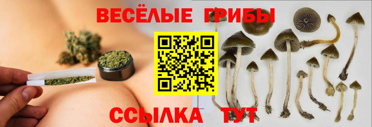 Псилоцибиновые грибы MAGIC MUSHROOMS  Галлюциногенные грибы мицелий  купить наркоту  Зеленокумск  Вход с VPN 