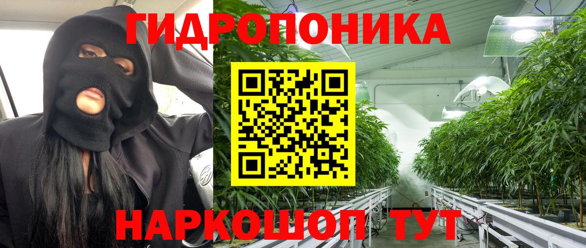 Шишки марихуана марихуана Зеленокумск